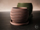 Echo Planter