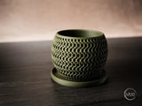 Echo Planter