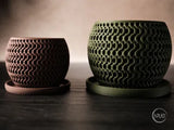 Echo Planter