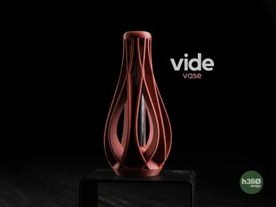 Vide Vase